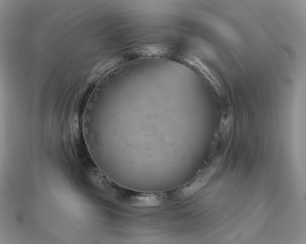 X0000112900381200908211522