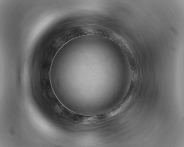 X0000112900382200908211522