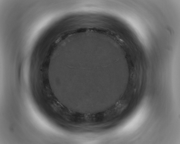 X0000112900383200908211522