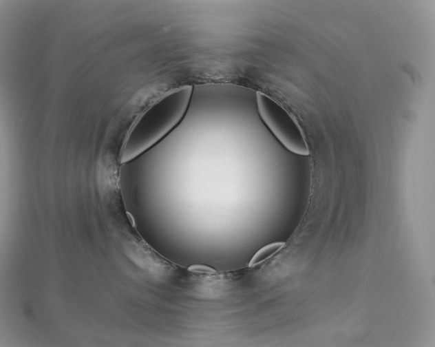 X0000112900384200908211522