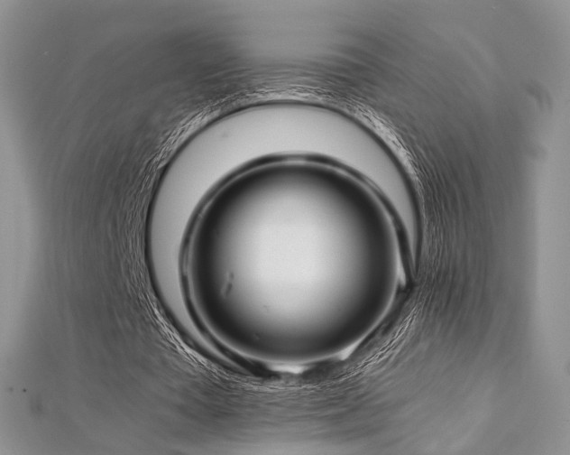 X0000112900385200908211521