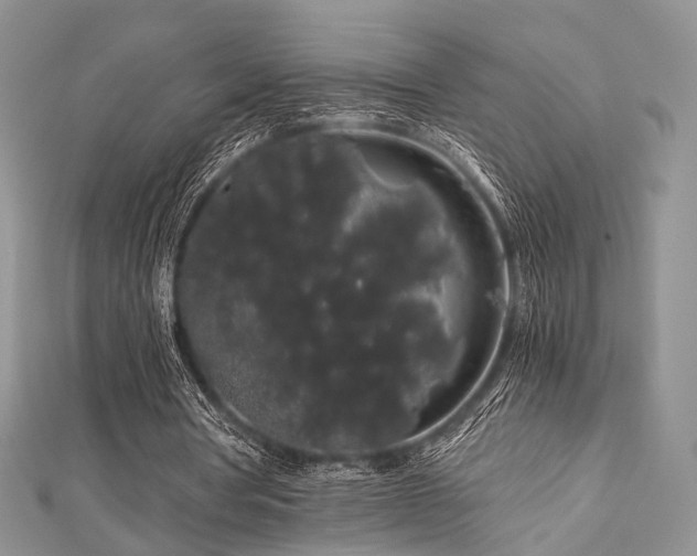 X0000112900386200908211521