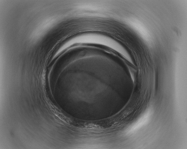 X0000112900387200908211521