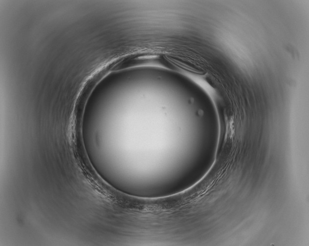 X0000112900388200908211521