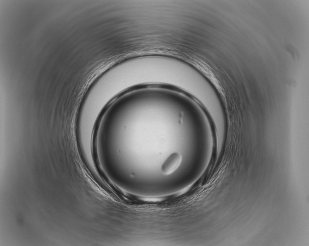 X0000112900389200908211521