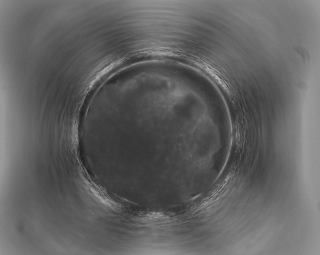 X0000112900390200908211521