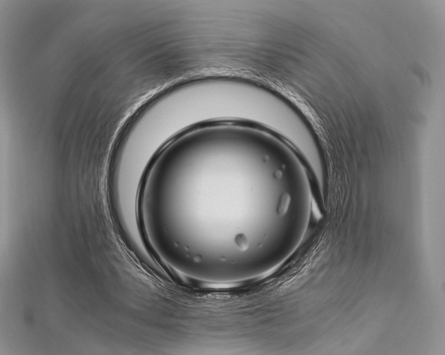 X0000112900391200908211521