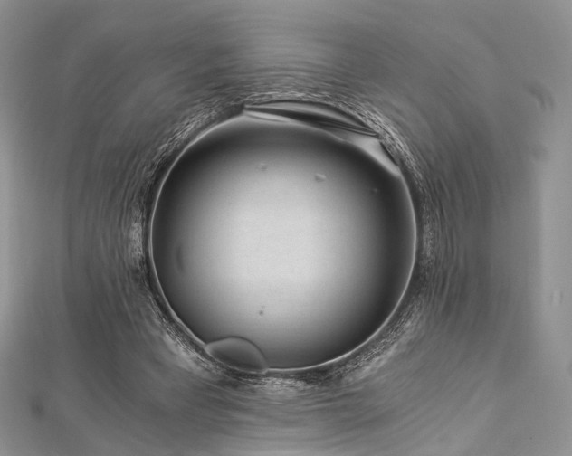 X0000112900393200908211521