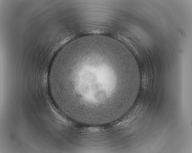 X0000112900394200908211521