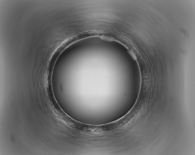 X0000112900395200908211521