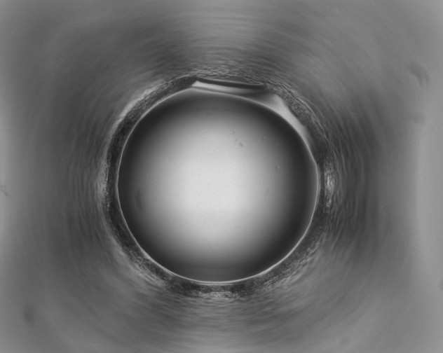 X0000112900396200908211521