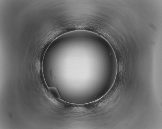 X0000112900397200908211521