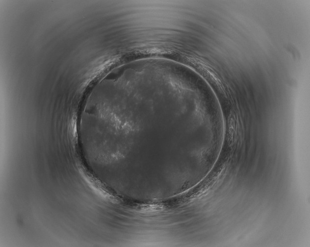 X0000112900398200908211521