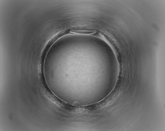 X0000112900399200908211521