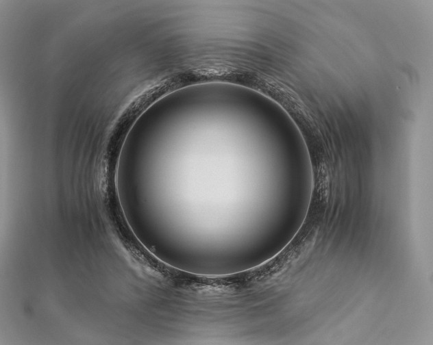 X0000112900400200908211521