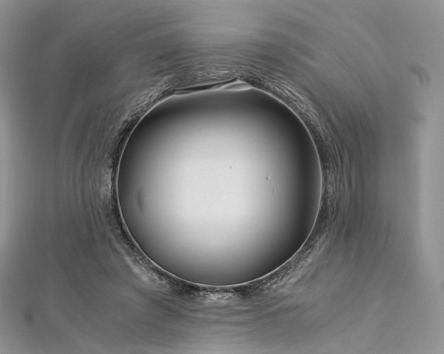 X0000112900401200908211521