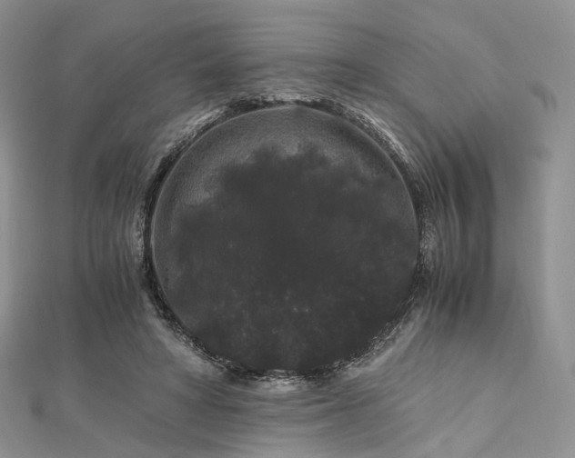 X0000112900402200908211521