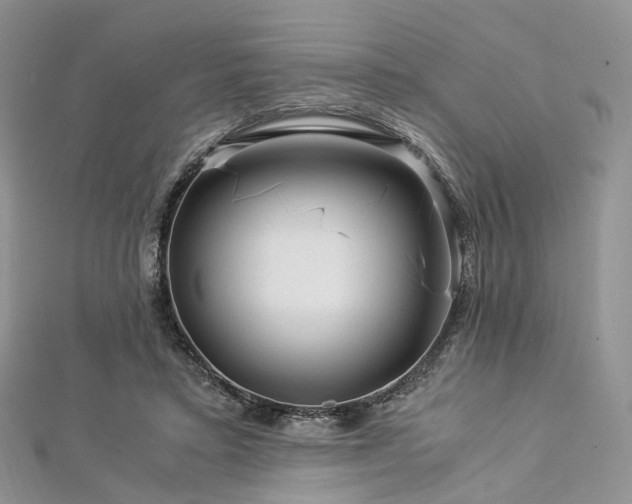 X0000112900403200908211521