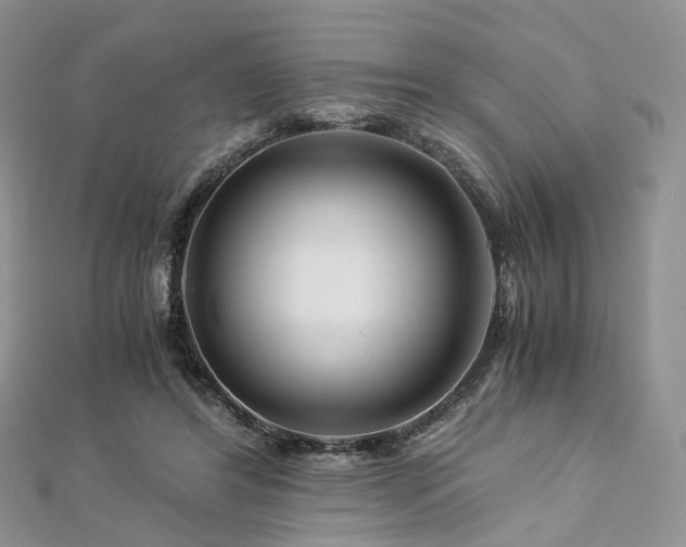 X0000112900404200908211521