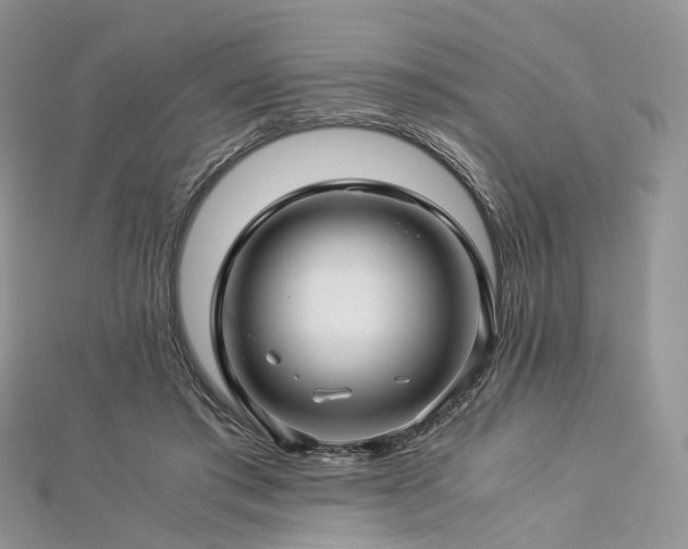 X0000112900405200908211521