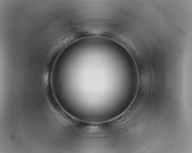 X0000112900406200908211521