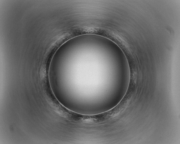 X0000112900407200908211521