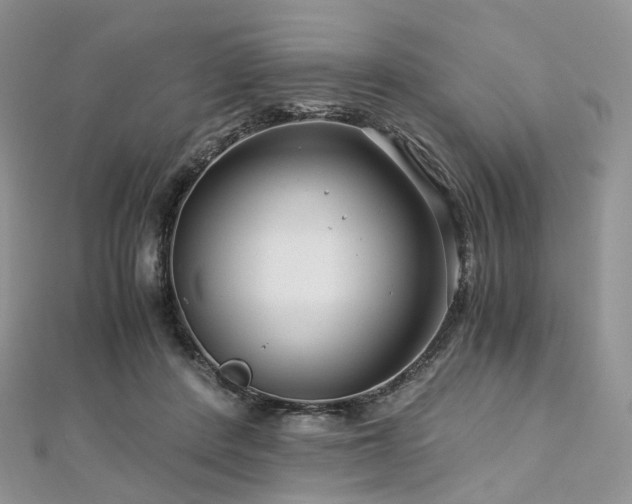 X0000112900408200908211521