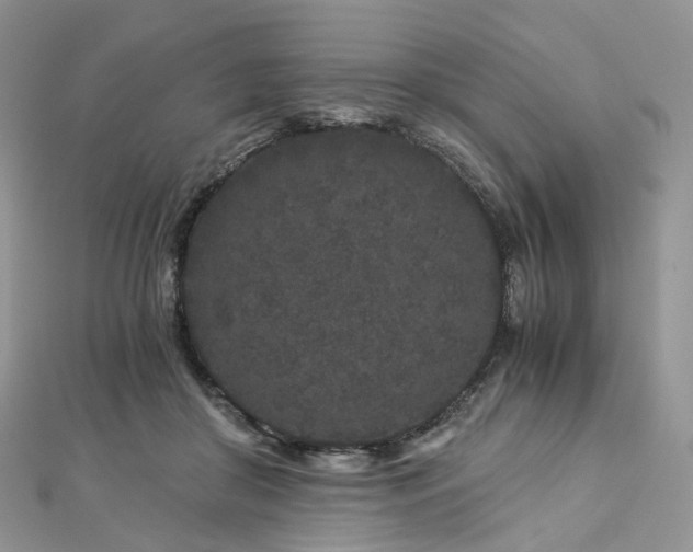 X0000112900410200908211521