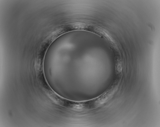 X0000112900411200908211521