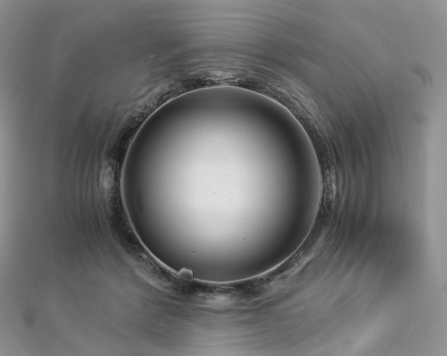 X0000112900412200908211521