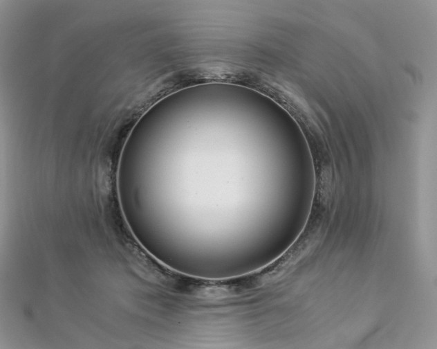 X0000112900413200908211521