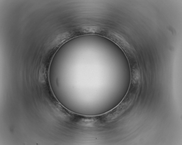 X0000112900414200908211521