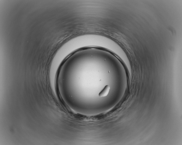 X0000112900415200908211521