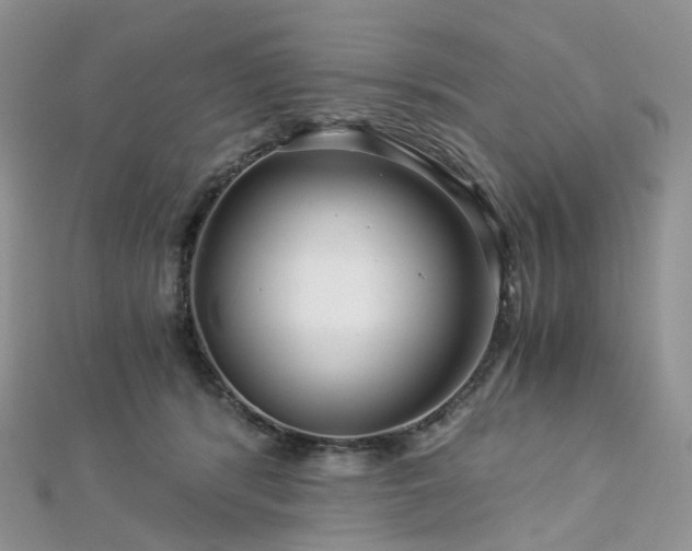 X0000112900416200908211520