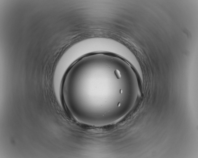 X0000112900417200908211520