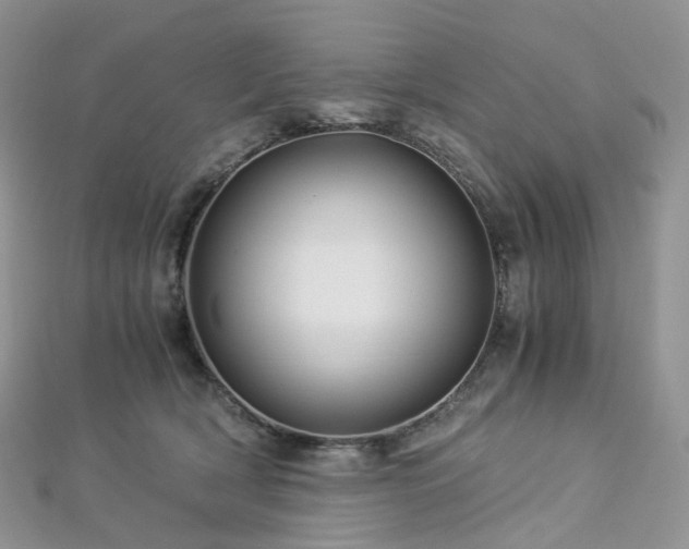 X0000112900418200908211520