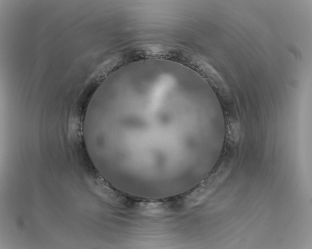 X0000112900419200908211520