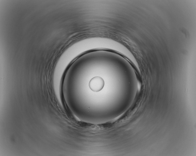 X0000112900421200908211520