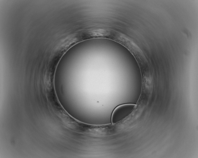 X0000112900422200908211520