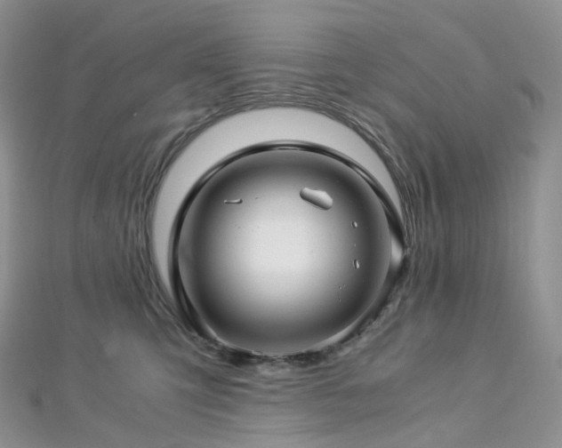 X0000112900423200908211520