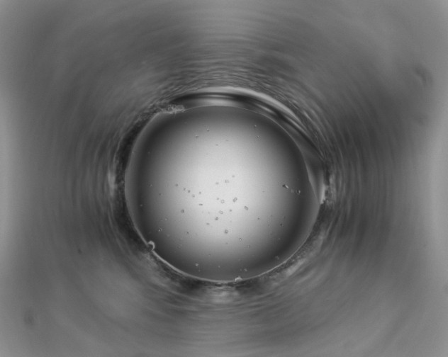 X0000112900424200908211520