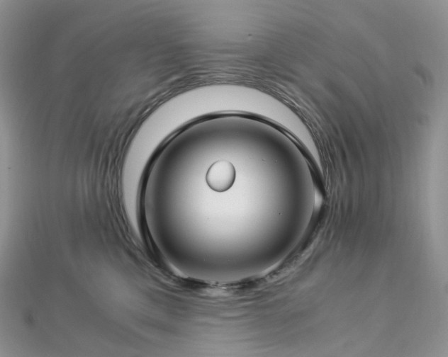 X0000112900425200908211520