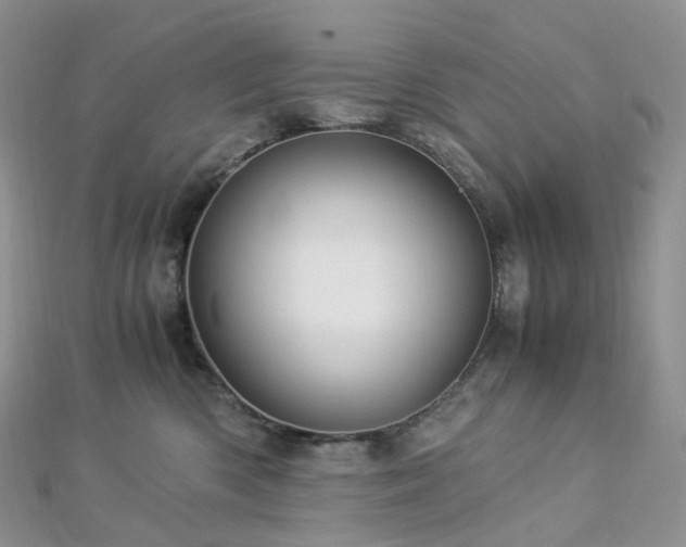 X0000112900426200908211520