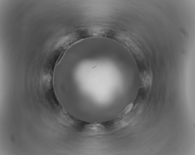 X0000112900427200908211520