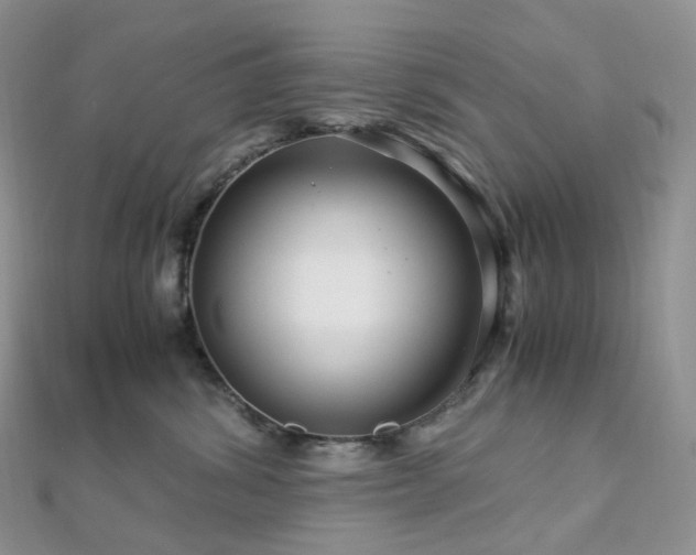 X0000112900428200908211520