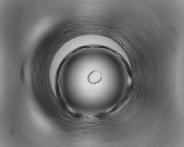 X0000112900429200908211520