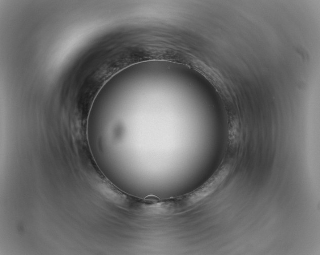 X0000112900430200908211520