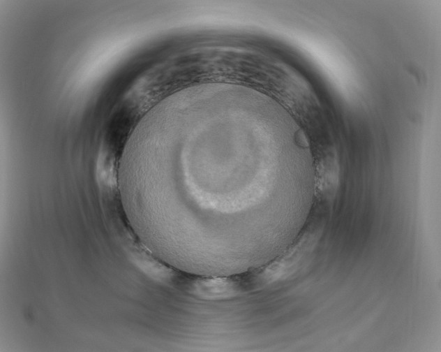 X0000112900431200908211520