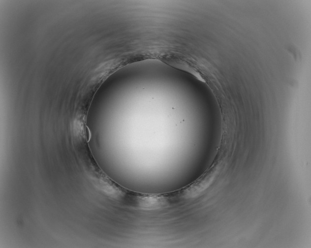 X0000112900432200908211520