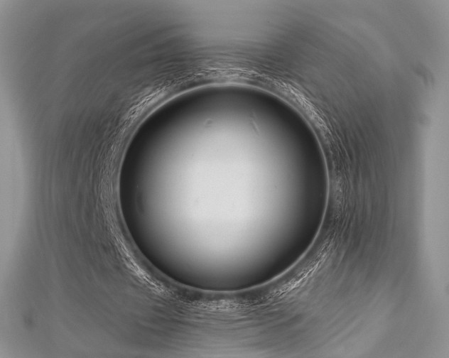 X0000112900433200908211520